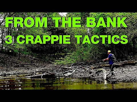 Crappie from the Bank - 3 Proven Tactics