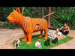 I Built a GIANT Tiger House for Puppies in the Jungle 🐯🐶 They Moved Inside!