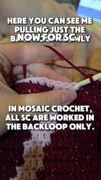 How to Crochet Overlay Mosaic Stitches | Beginner Tutorial