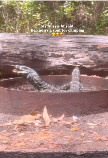 Camping Adventures in Australia with Jet2holidays