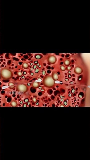 Ep30 | Deep Cleaning Animation | ASMR