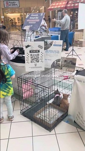 subscribe to learn more about head start animal rescue!