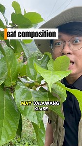 Leaf composition | Ethan Hernandez