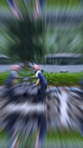 1.7K views | Tokyo Camera on Reels | Facebook