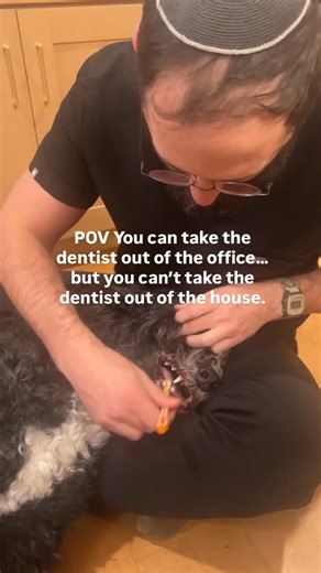 Dr.Berlin Pediatric Dentist on Instagram: "Real talk (dad-to-dad): brushing doesn’t have to be a nightly battle. The goal isn’t perfection — it’s a routine your kid’s nervous system can predict. A few things that make brushing easier fast: 🦷 Same order every night (bath → PJs → brush → book). Predictability = calmer kids. 🦷 Let them “go first,” then you finish (teamwork, not takeover). 🦷 Tiny timer (30–60 seconds is a win if it’s consistent). 🦷 Make it playful: “Show me your lion teeth” / “l
