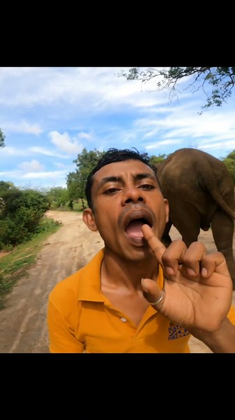 ඇතින්නියකගේ කට ඇතුළේ මෙහෙම දෙයක් දැකලා තියෙනවාද? 🐘 කාන්තිගේ රහස!#elephant #srilanka #travelvlog