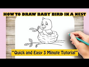 How to draw BABY BIRD IN A NEST