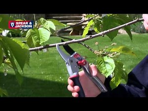 Spear & Jackson Ratchet Twist Anvil Secateurs