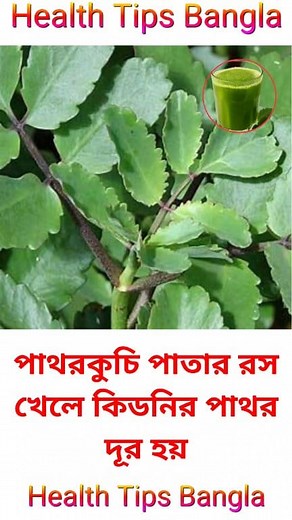 Health Tips Bangla || #reels #fbreels #health #healthyfood #healthcare #healthtips #facts #healthtipsdaily #healthylifestyle | হেলথ টিপস