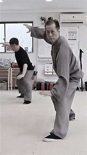 強いは美しい | 太極拳の実戦套路
