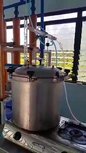 21K views · 774 reactions | Yes! UPV SoTech is producing alcohol from molasses. It has produced approximately 55% EtOH. This will still undergo a 2nd stage distillation process. Congratulations to the team! Video by Dr. Ram Bautista | University of the Philippines Visayas | Facebook