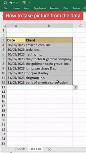 How to take picture from the data in excel. #datacleaning #excel #dataanalysis