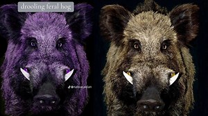 Drooling Feral Hog | Know Your Meme