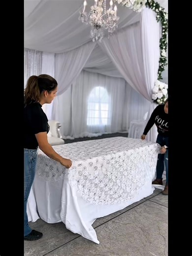 Millenium Company on Reels