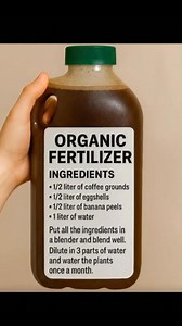 This Zero-Cost Fertilizer Works Better Than Store-Bought 😳💬 | Smart Garden Guide