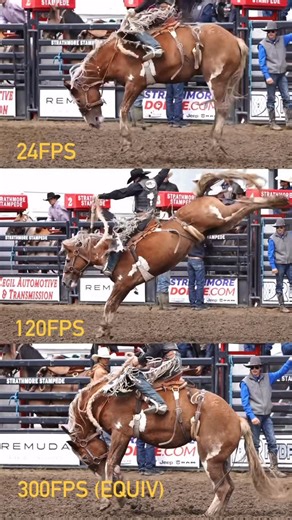 HANGING HORSES | 24fps: blink and you miss it 120fps: now we’re talkin’ 300fps: every ripple, every snort, every good decision in hi-def @legendrodeostock... | Instagram