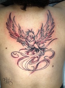 This Phoenix back tattoo done by Mikal is on fire!! ❤️‍🔥🔥😉 @denyxyourself #tribalrites #tribalritesfortcollins #tribalritestattoo #tribalritestattooandpiercing #backtattoo #blackandgraytattoos #blackandgreytattoo #backtattoos #phoenixtattoo #phoenixtattoos | Tribal Rites Tattoo & Body Piercing
