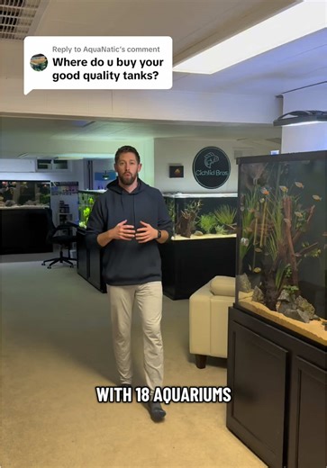 Find the Best Places to Buy Aquariums