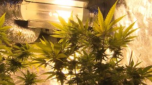 Marinette Co. officers prep for new Michigan pot laws