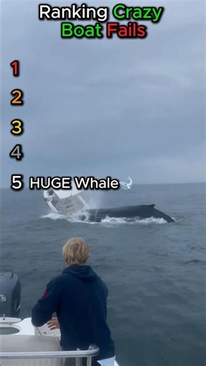 This Whale FLIPPED Their Boat!!😱🐋💀 #boating #boatingfails #fails #crazymoments #viral