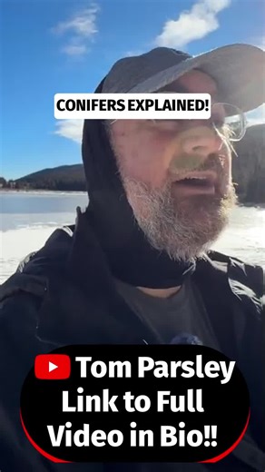 Learn the three major types of conifers: pines, firs, and spruces! Discover a simple mnemonic to remember their differences and enhance your outdoor knowledge. Perfect for hikers and nature enthusiasts!#ConiferIdentification #NatureEducation #HikingTips #OutdoorLearning #ColoradoAdventures