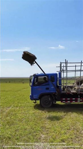 DIY truck-mounted haystack loading tool is very efficient #gardening #bamboo1 #farmingtraditions
