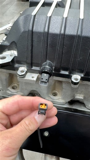 We are elevating not only the sensor game, but the wiring game with a full line of RIFE sensors available in Deutsch DTM connectors! Pressure, MAP, Fluid Temp, and IAT sensors now come in the most sizes, ranges, and also connection options! | Motion Raceworks