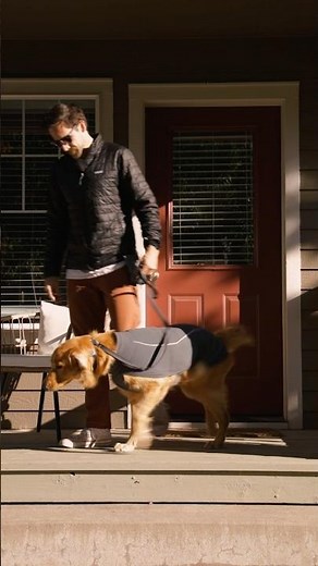 Dog jacket for fall 🍂