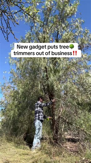 The Must-Have Mini Chainsaw for Yard Maintenance