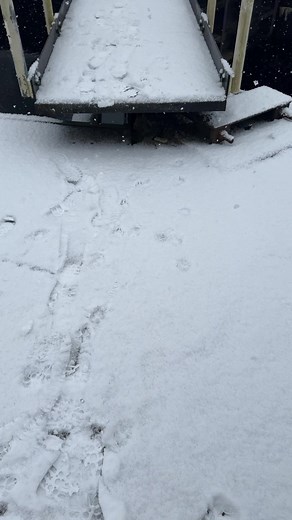 Beautiful Scottish Highland Landscapes to beautiful music 🎶 by @joelsvnny with #luminary If you like my work please support my wee business and buypatacoffee via the link 🔗 in my Bio ❤️☕️ or even better buy a print. ❤️. VisitScotland Scottish Canals The Outdoor Capital of the UK Lochaber Chamber of Commerce | My Highland Photography by Pat McElhinney