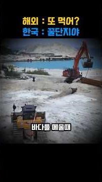 The reason developed countries were surprised that Korea transformed land blocked off with concre...