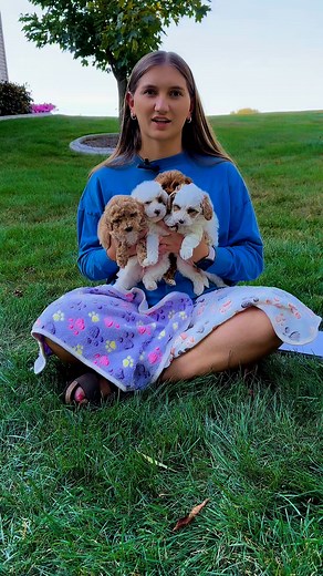 Ohio Puppy Paws on Reels