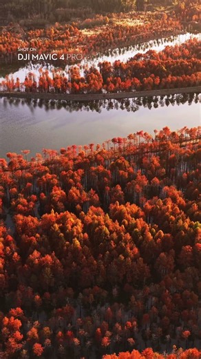 Fall Looks Unreal From Up Here | DJI Mavic 4 Pro