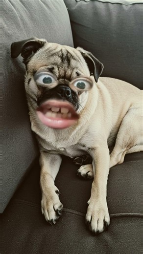 Help I can’t poop #comedyshorts #funny #funnyshorts