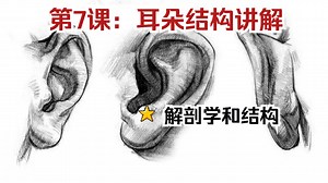 【Proko五官系列 07】拆解“信息处理器”耳朵！Proko教你化繁为简的绘制逻辑，头像基础必修课