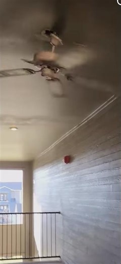 Ceiling fan fail #204