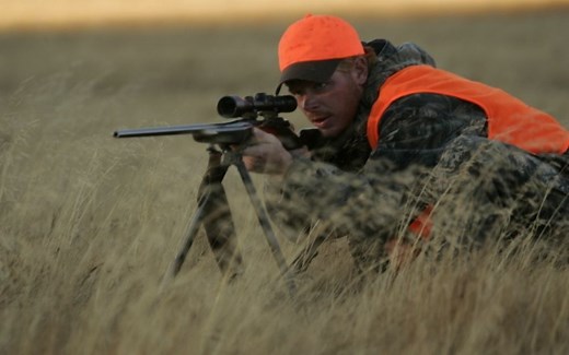 The Best Rifle Bipods of 2025, Tested and Reviewed