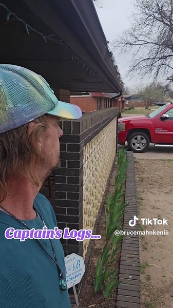 Growing Gorgeous Irises from Bulbs: A Step-by-Step Guide