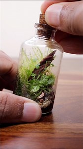 Making a miniature terrarium #miniature #terrarium | The Urban Nemophilist
