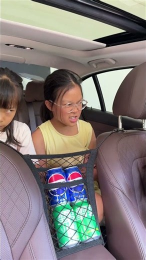 Dual‑use for partition and storage, keep your car interior neat and tidy #creative #shorts #viral