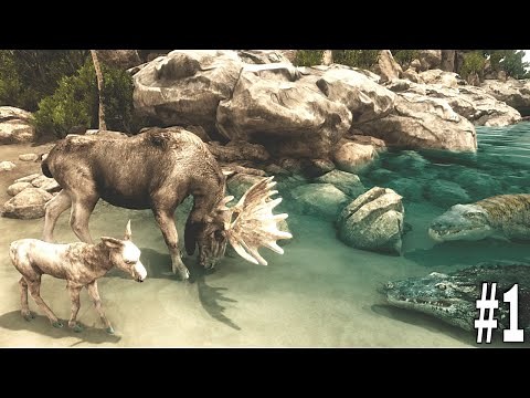 Ultimate Moose Simulator - Animals Battle | Wild Animals | RKM Gaming | Wild Deer | #1