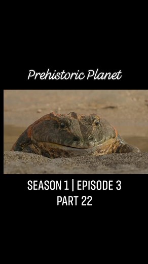 Prehistoric Planet | Season 1 Episode 3 | Freshwater v22 ∆ Masiakasaurus - Elasmosaur • Belzebufo • Pterosaur #PrehistoricPlanet #prehistoriccreatures #prehistoricanimals #prehistoriclife #PrehistoricEarth #dinosaur #masiakasaurus #elasmosaur #pterosaur #fbreels #fbreelsvideo #fbreels23 #fbreelsviral #fbreelsph #FBReelStar | Prehistory, Nature and Science