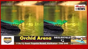 15K views · 289 reactions | “Miracle on Water!” Lizard Seen Running Across a River, Video Will Leave You Stunned | News Tag India | Facebook