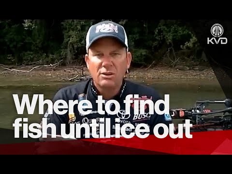 Fall Bass Made EASY: The Exact Spot They Go Every Single Time - with KVD
