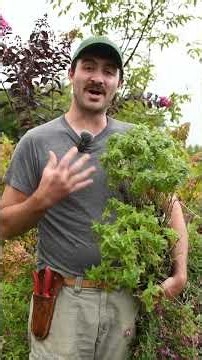 Beat the Weeds 🚫 Plant a Prairie! 🌾 Natives You NEED!