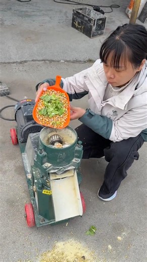 Corn Crusher Machine for Poultry & Cattle Feed Maize Grinder Demo #corncrusher #farmequipment #viral