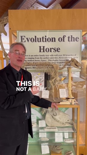 Explore Fascinating Prehistoric Facts and Art