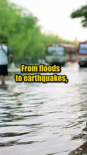 In a world fraught with uncertainties, understanding disaster...