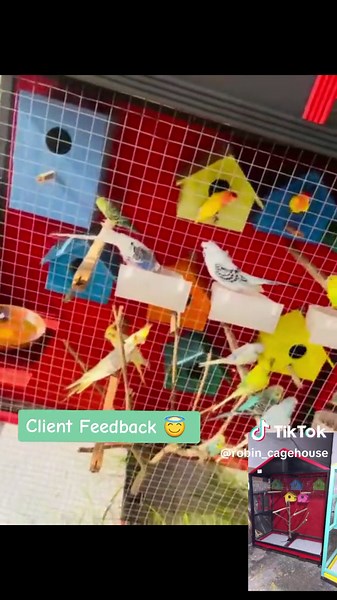 #robin_cage_house #clientreview #feedback #birdscage #Birds_Avairy #woodencage