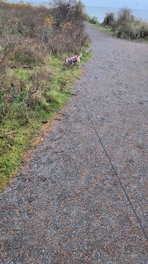 Lee Harding on Reels